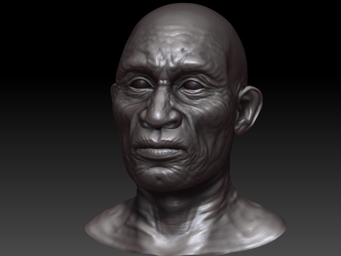 Old Man Head Bust