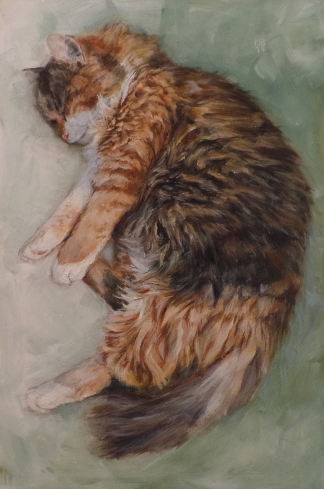 Cat 2