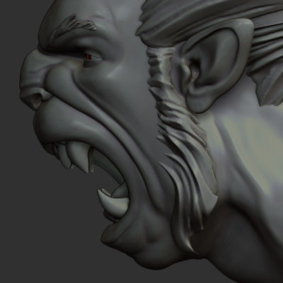 Andrew kinabrew lionobust