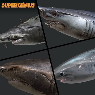 ArtStation - Fantasy Shark Concept