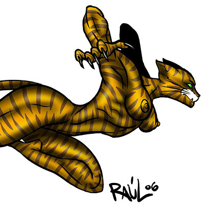 Raul pina vicente raulpinavicente feline