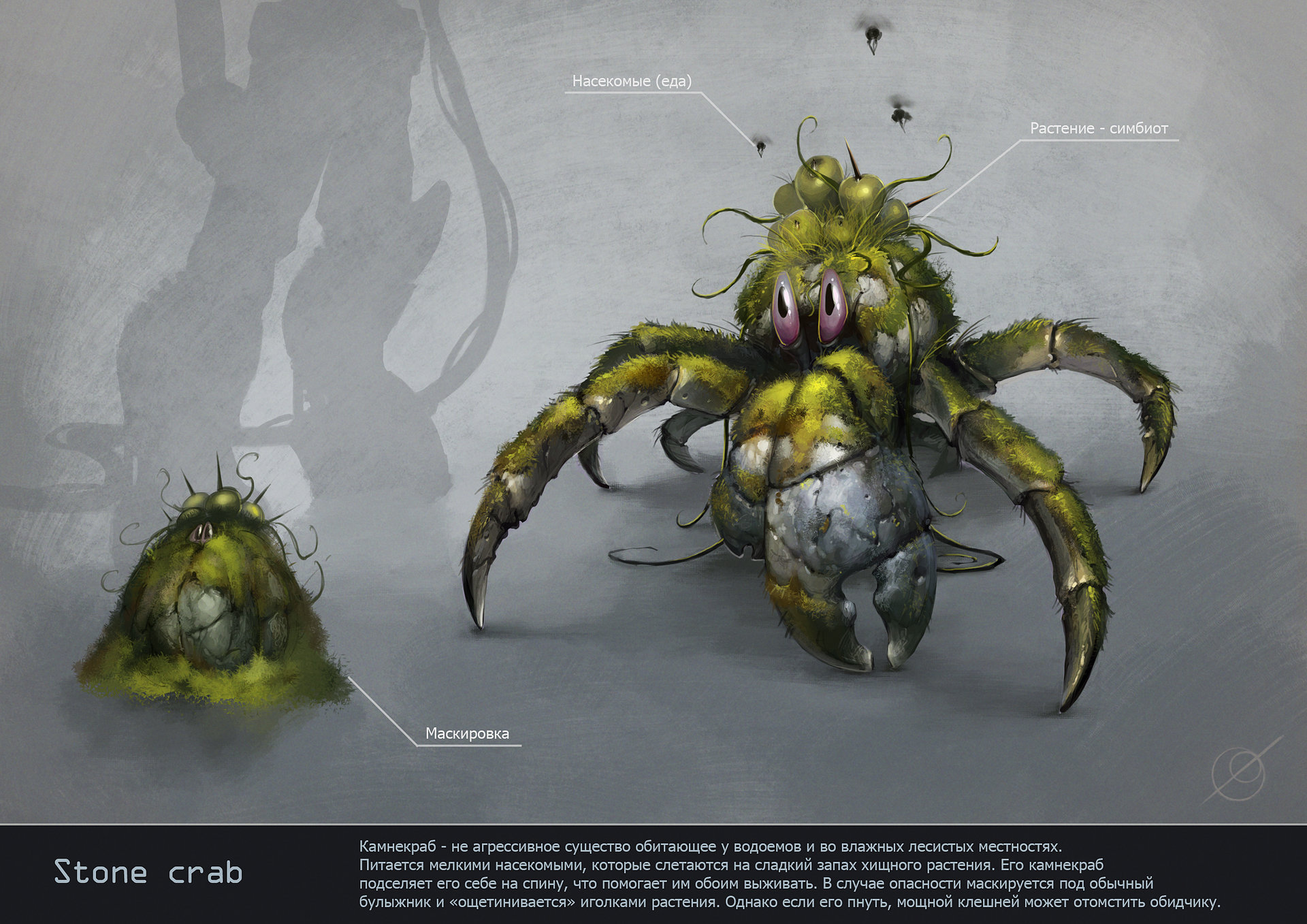 ArtStation - Stone crab