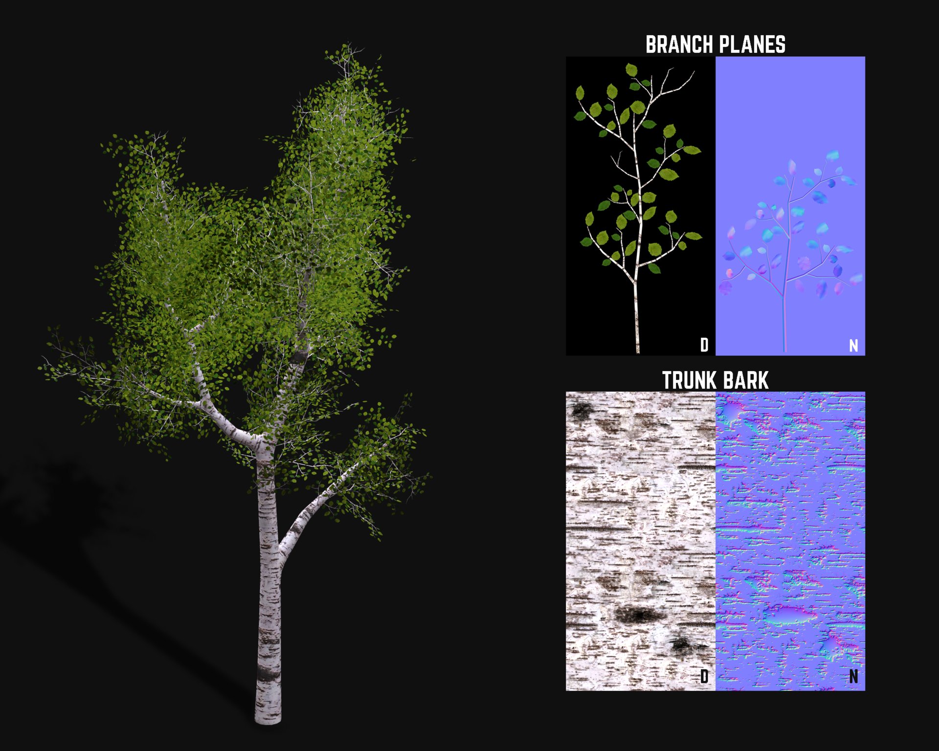 ArtStation Birch Tree Game Asset
