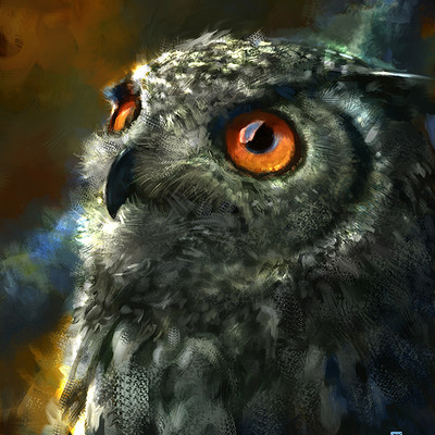 Ps delux 20150904 owl psdelux