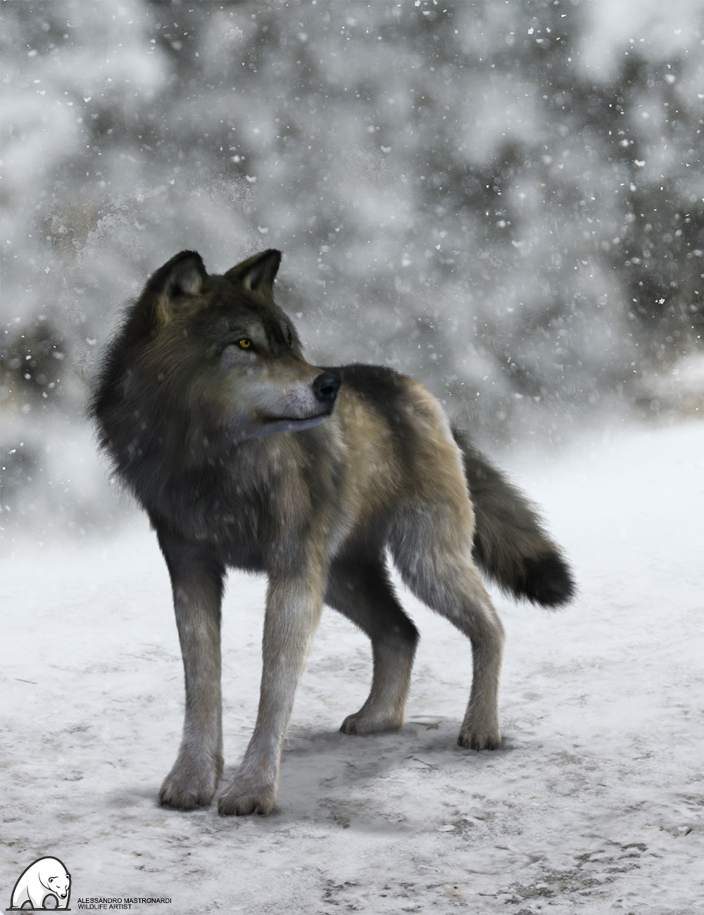 Волк 1 9 5 7 5. Винтер Вулф. Волк зима. Волк один. Волк злой зима.