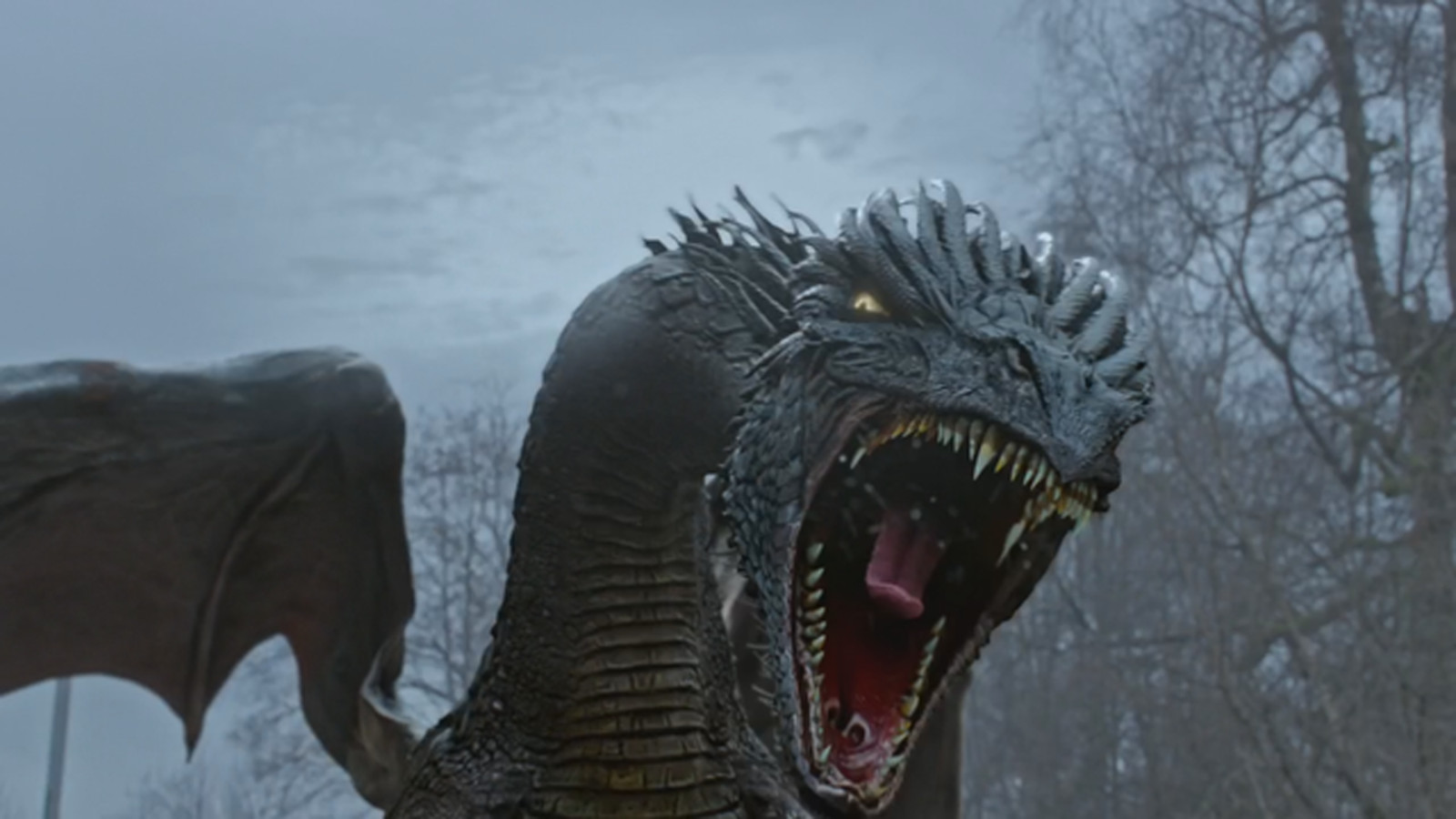 Once Upon A Time Dragon
