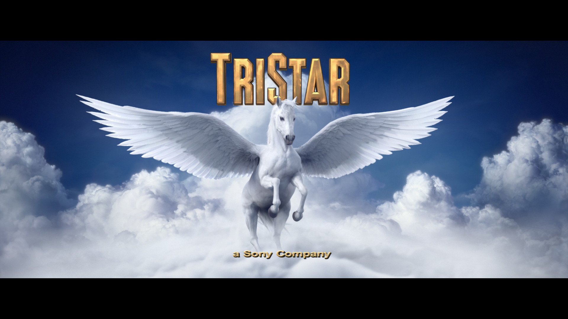 Logo Photos Tristar