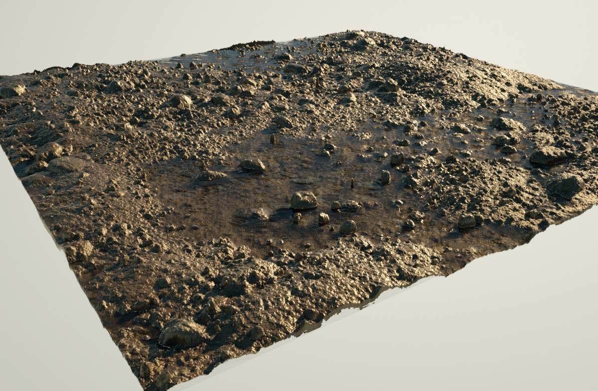 Muddy Ground Muddy Ground