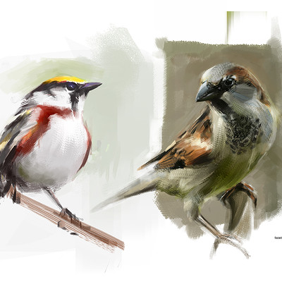 Ps delux alchemy 2015 12 07 15 51 25 misc bird paintings psdelux