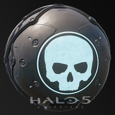 Halo 5 MP Ball 
