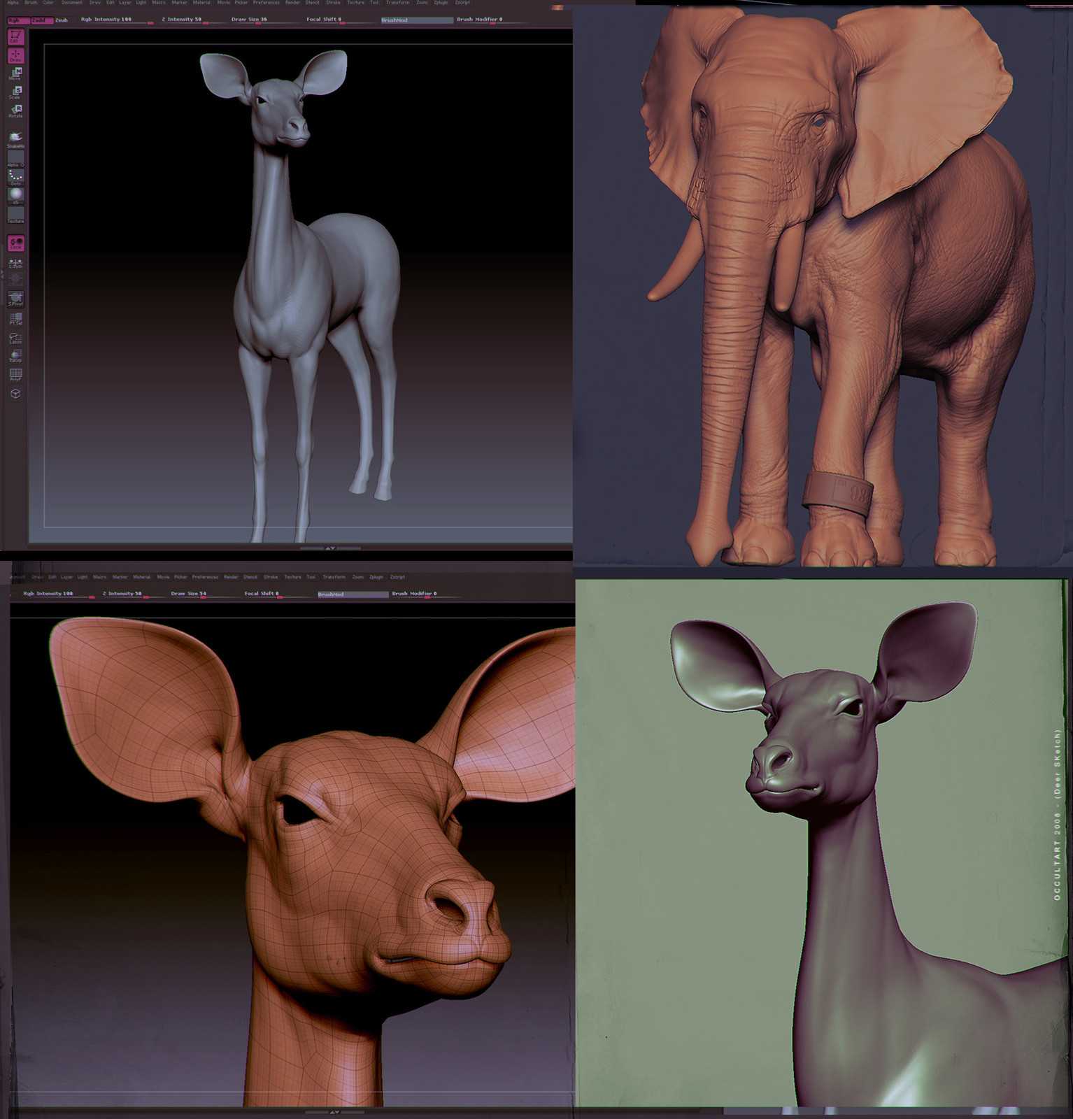 Animal Studies (OLD)