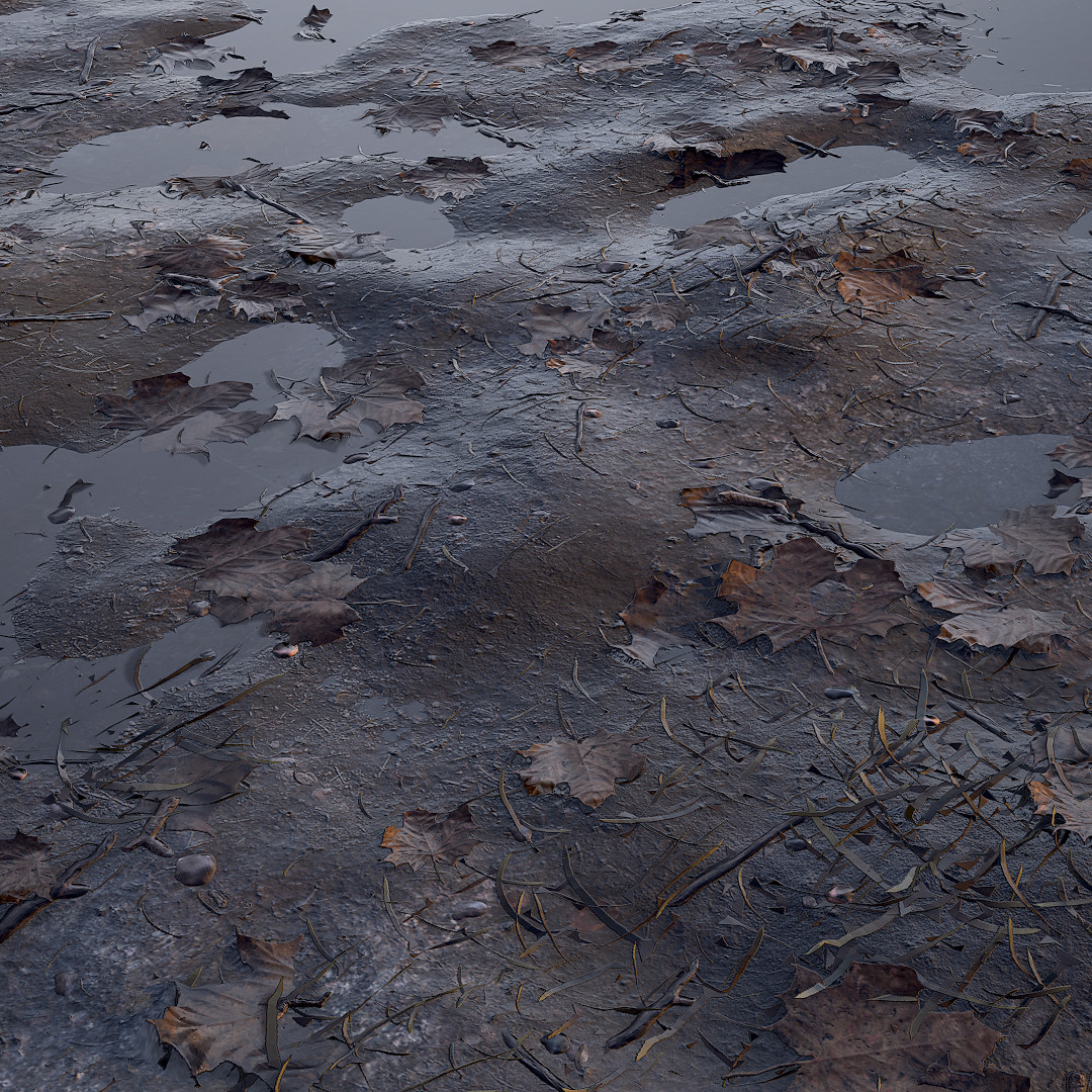 ArtStation - tileable muddy forest ground