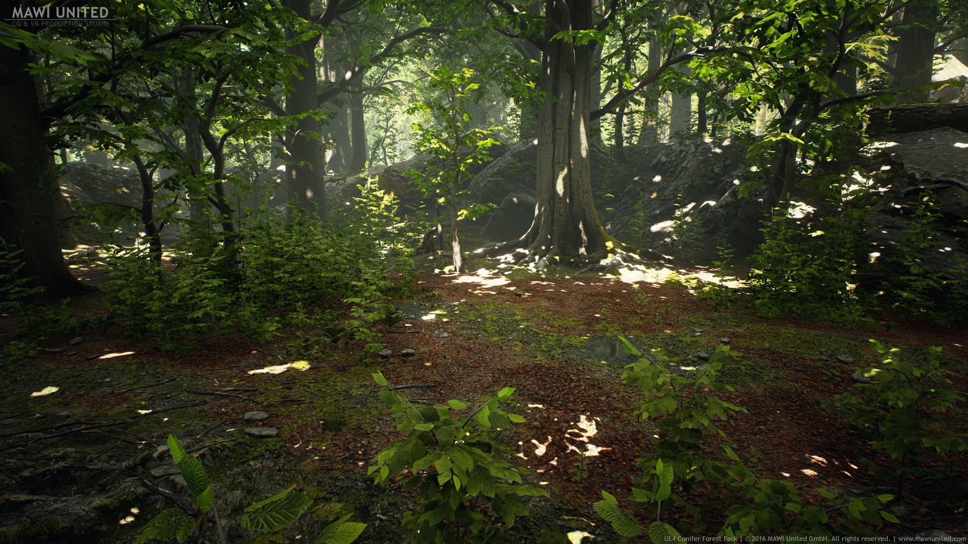 Лес 5. Unreal engine 4 лес. Ue5 Forest. Unreal engine 5 лес. Unreal engine 4 5.