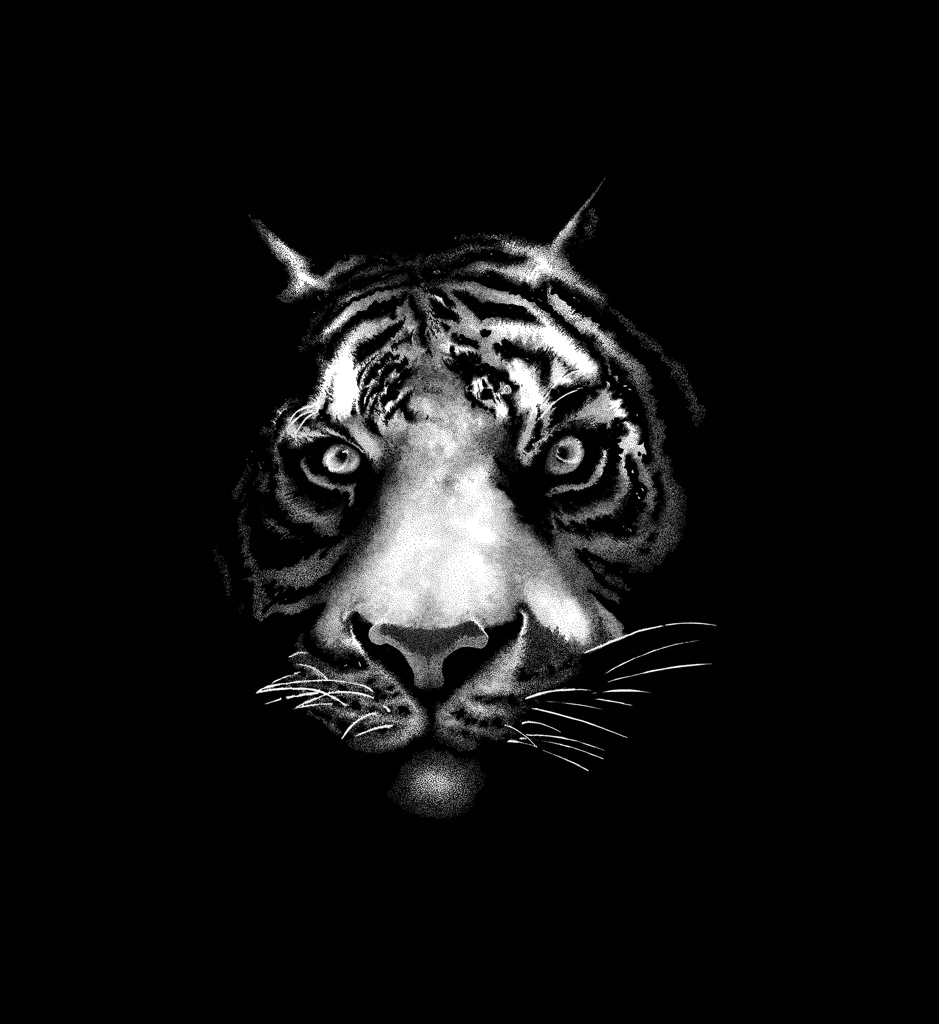 ArtStation - Tiger in Shadows, Marcio Ramos