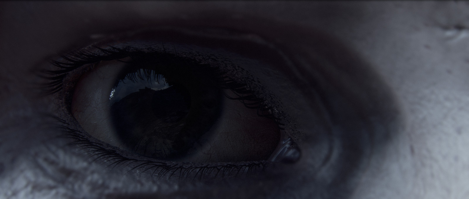 Demo Reel 2016