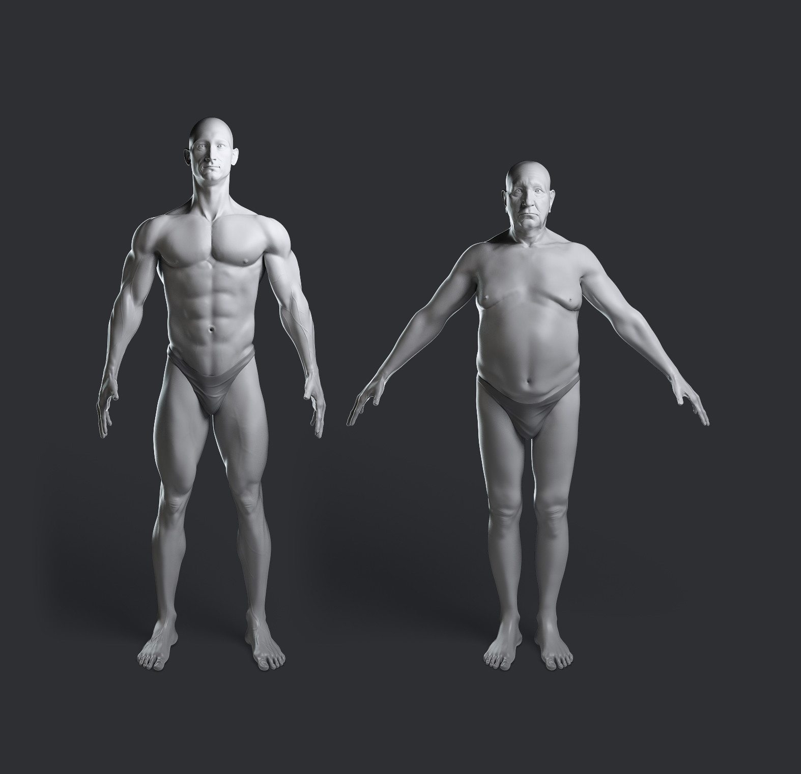 3D anatomy study