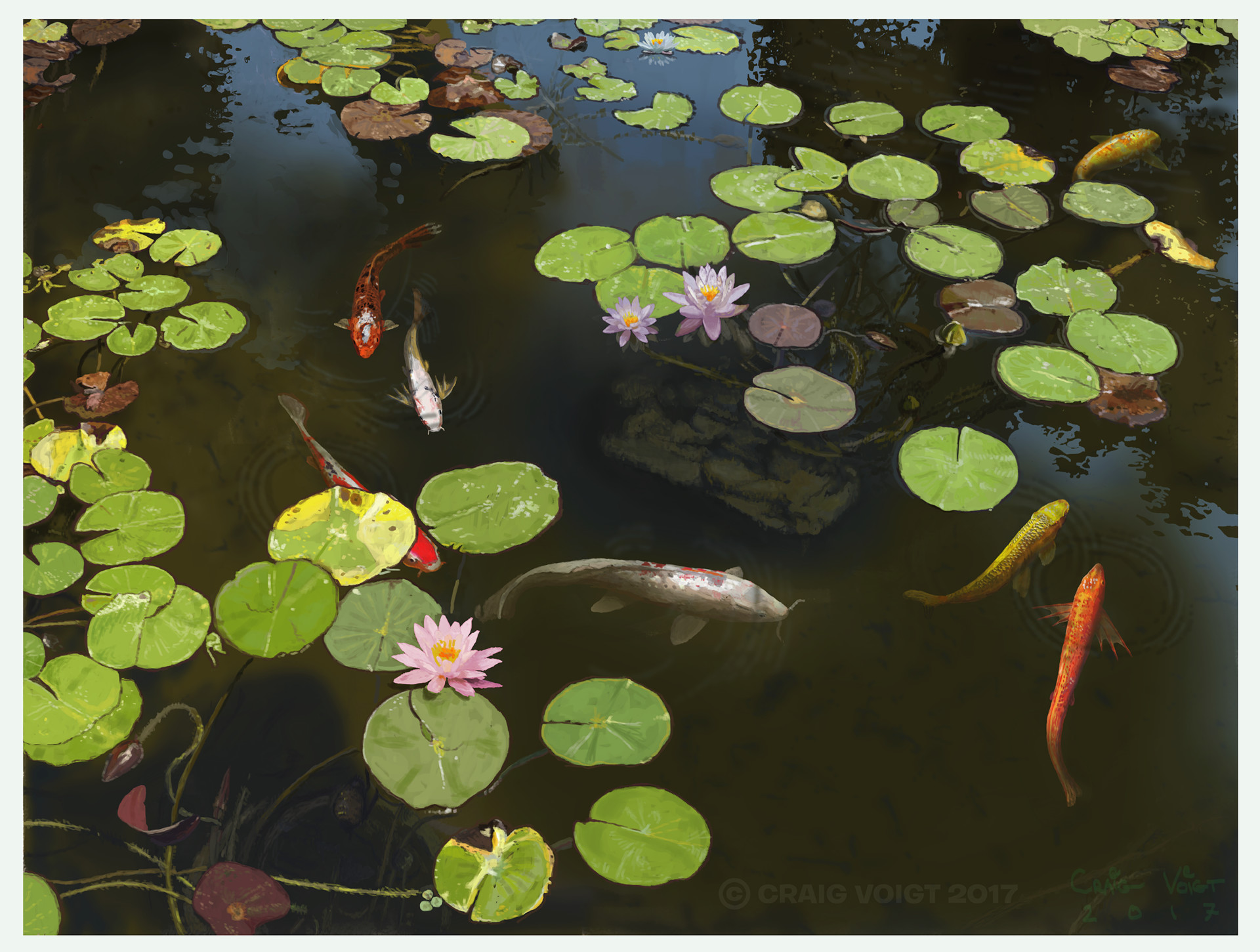 Craig Voigt Water Lily And Koi Fish Pond At Huntington Library