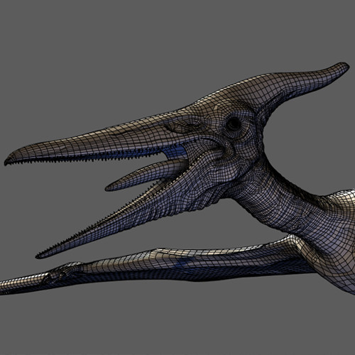 Pteranodon Rig