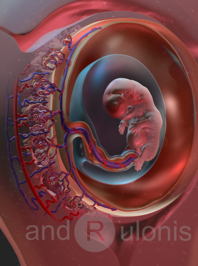 ArtStation Biology Diagrams