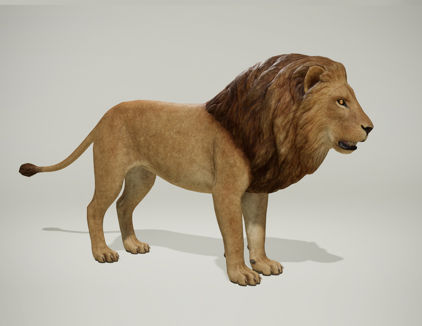 Поли лев. 3д модель Лев Низкополигональная. 3d модель Low Poly Lion. Львица 3д модель. Львица 3д.