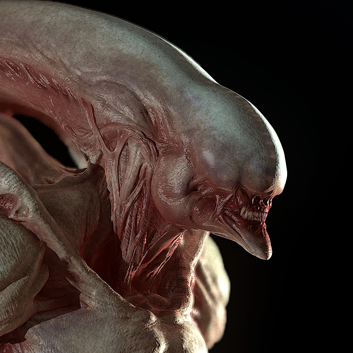 albino xenomorph