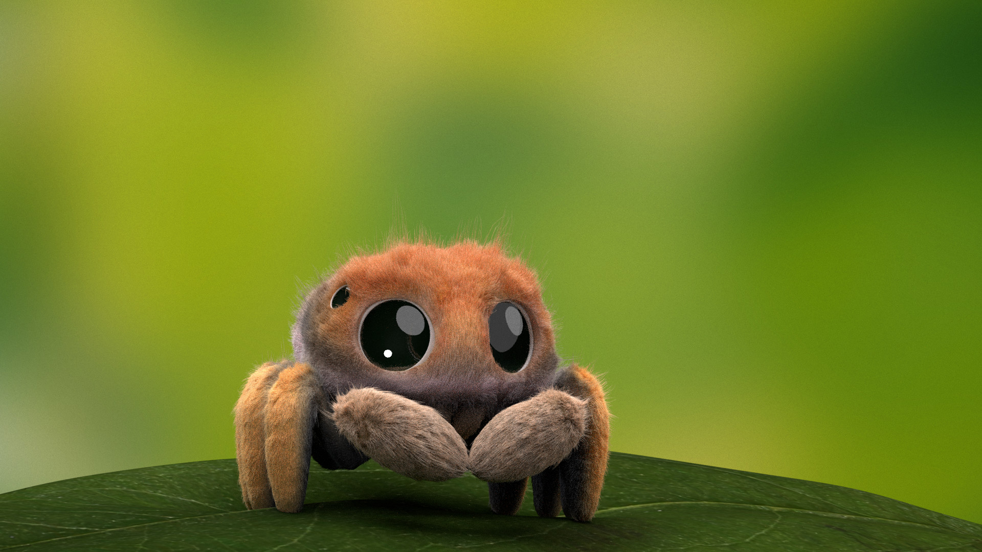 fluffy spider toy