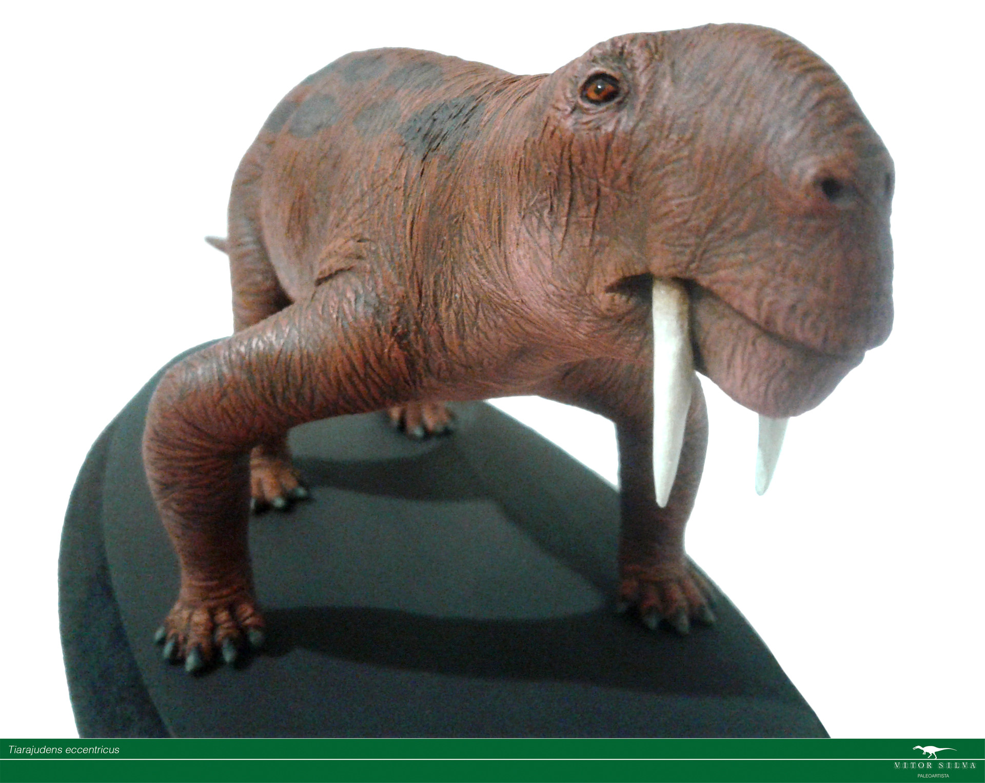 Vitor Silva Tiarajudens