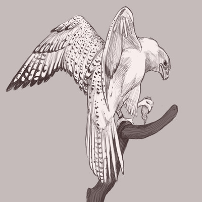 Alessandra kerstulovich 1