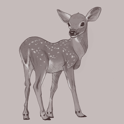 Alessandra kerstulovich 2