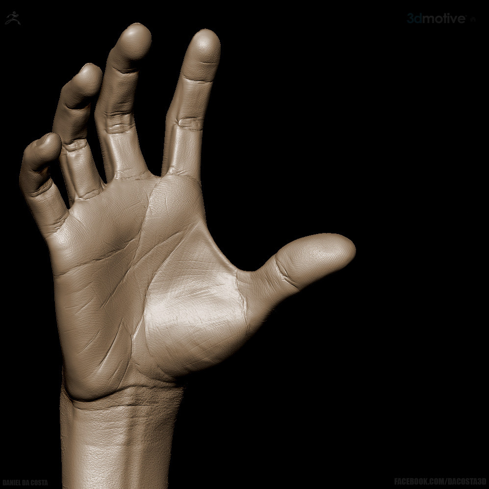 3dmotive hand anatomy in zbrush volume 1