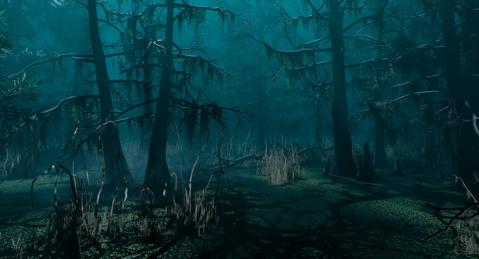 Swamp, Armin Komoll.