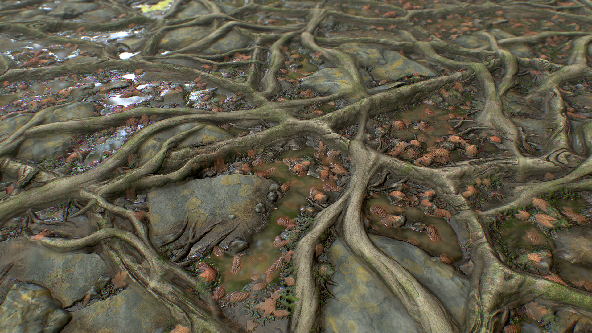 Какой корень лесов. Корни текстура. Substance Designer Forest ground,. Root texture. Земля в сабстенсе.