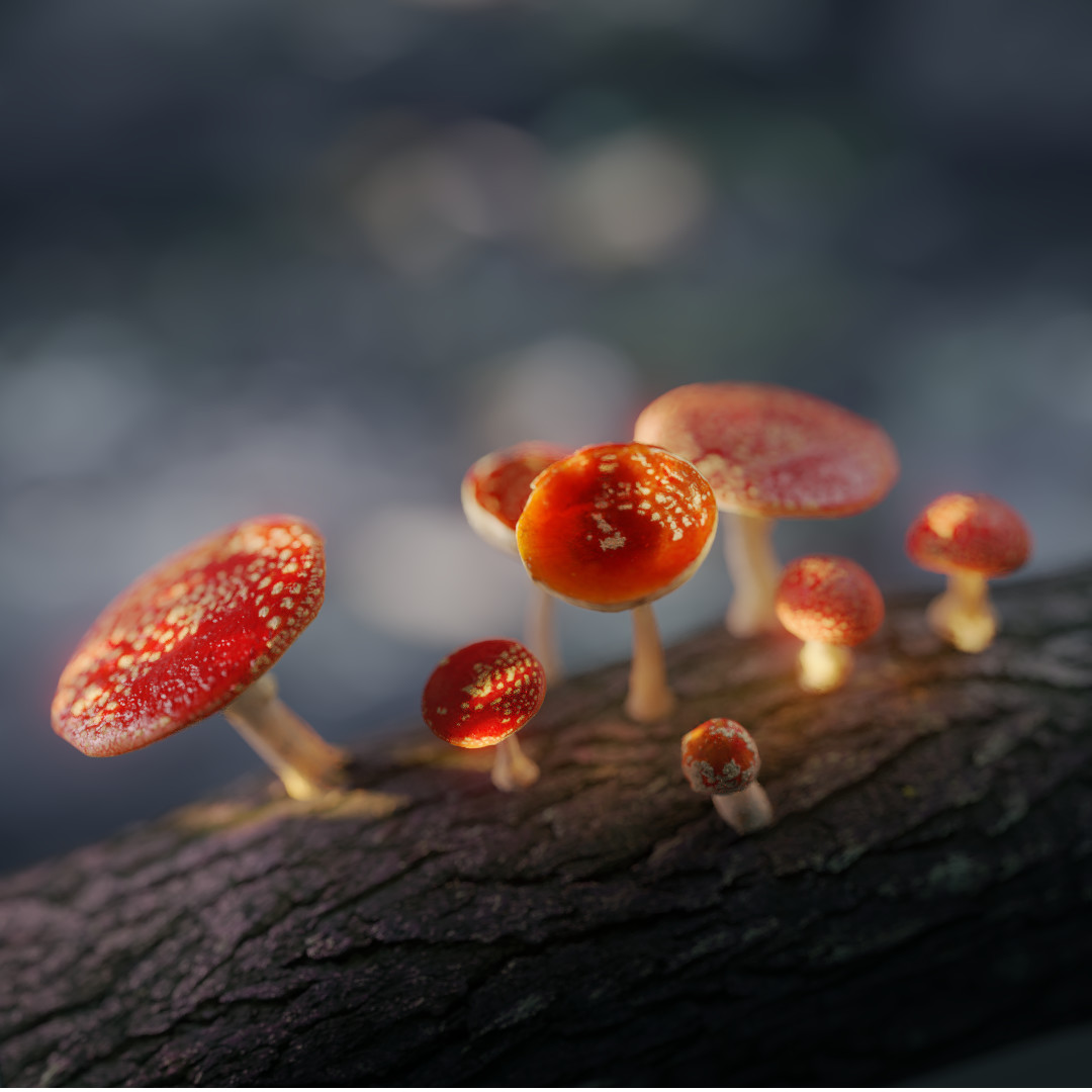 ArtStation - Mushroom Scene