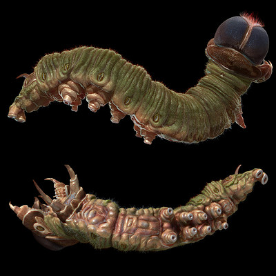 Dariusz andrulonis caterpillartumb