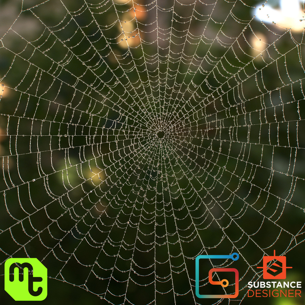 Spider Web Generator