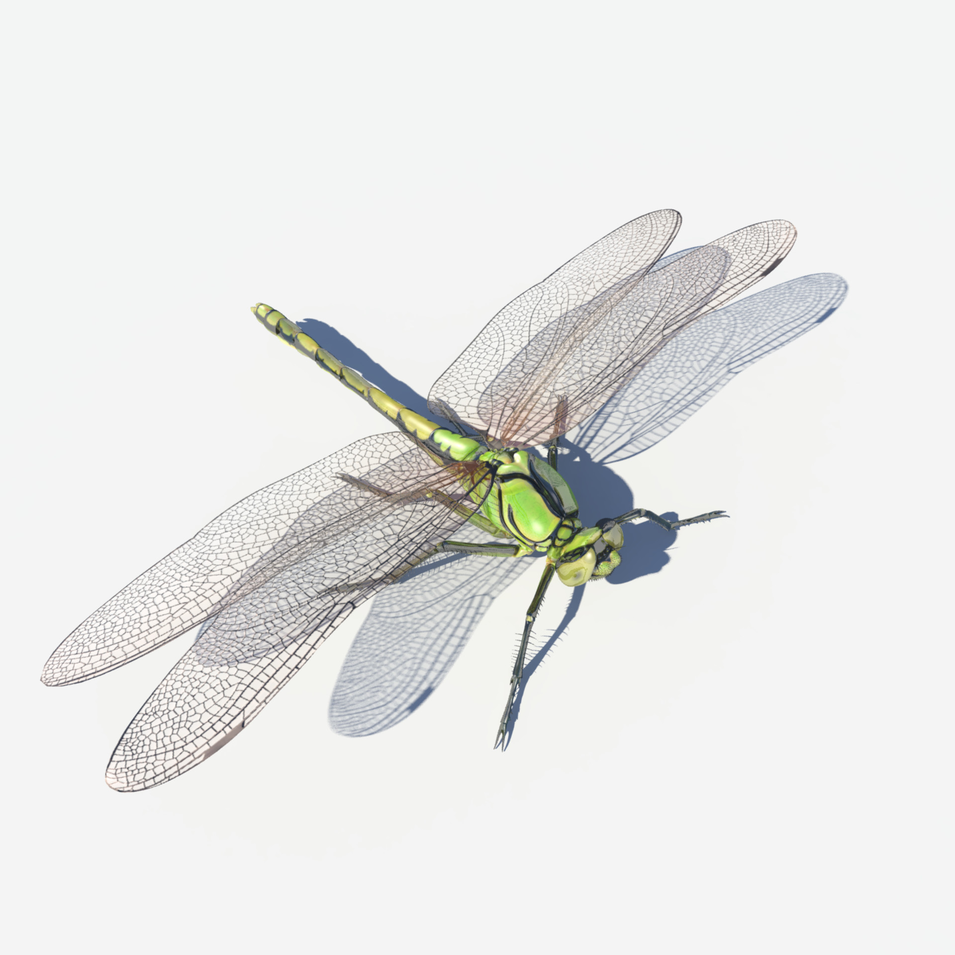 ArtStation - Dragon Fly