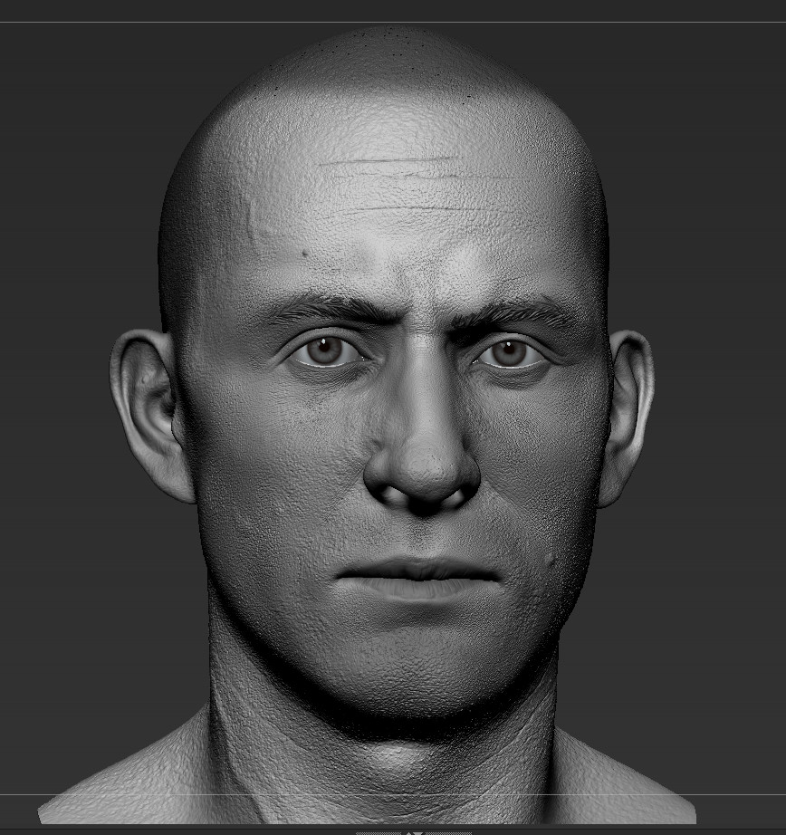 ArtStation - Head Anatomy Study