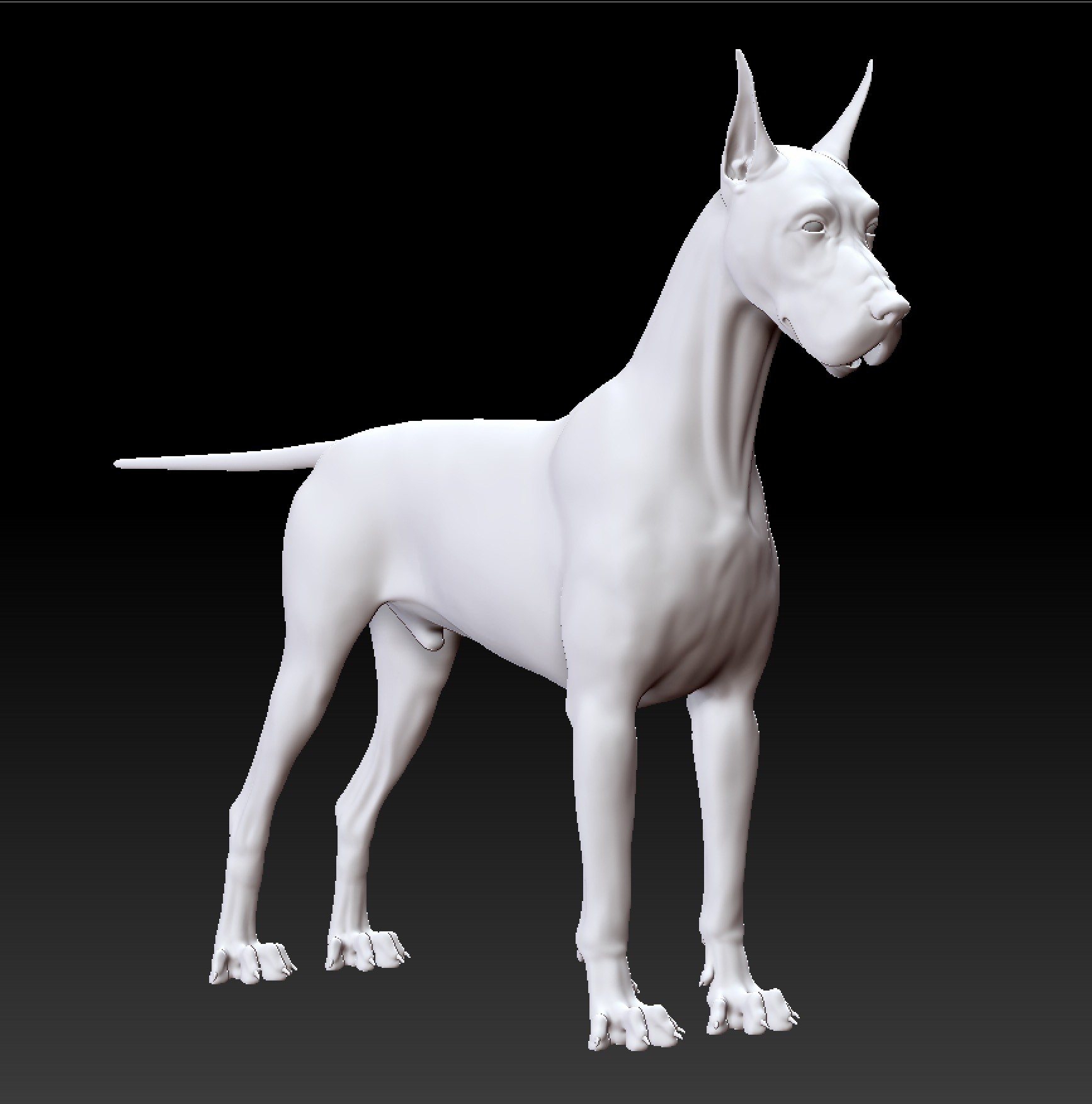 Great clearance dane 3d