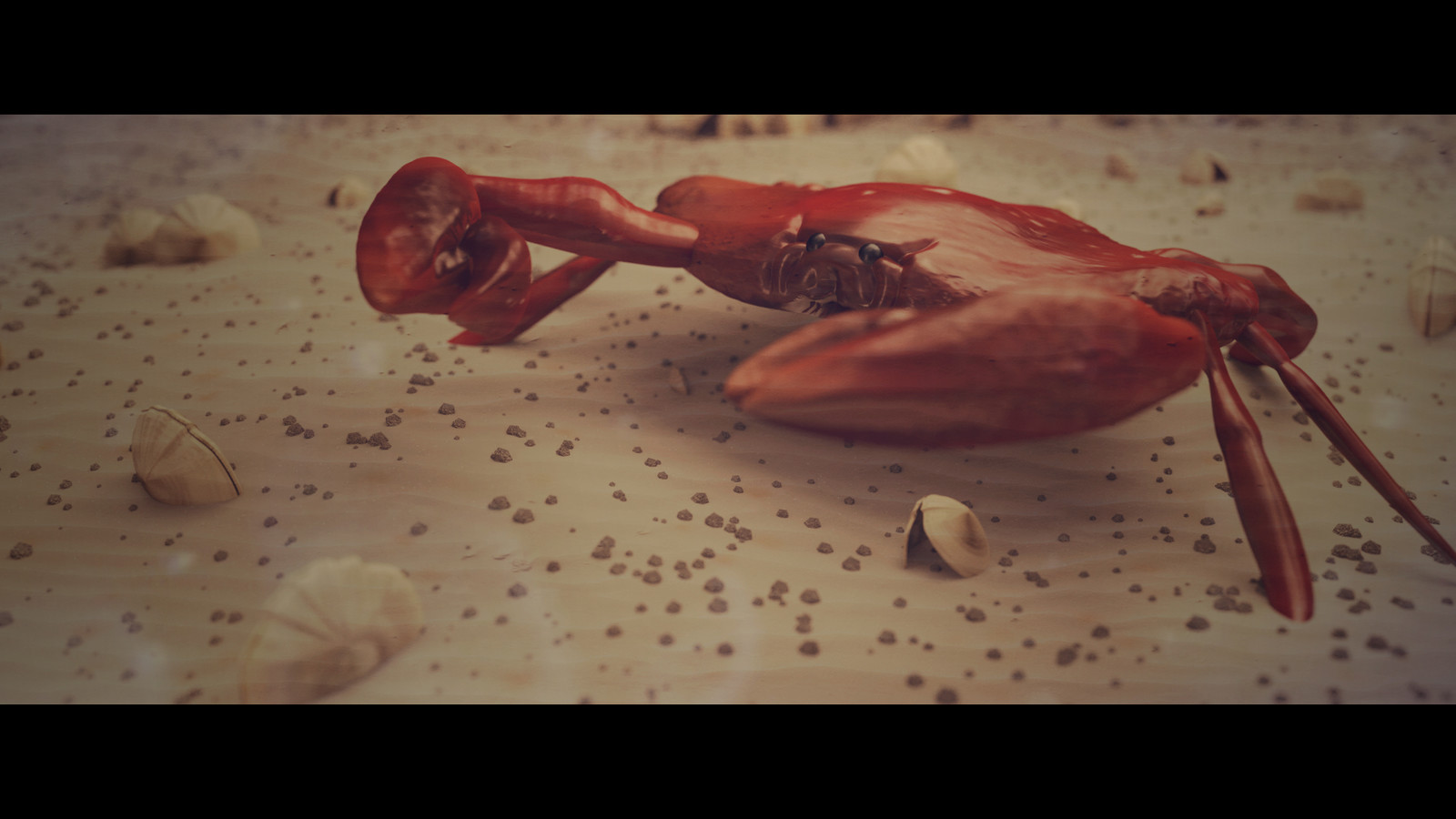 CGI CRAB - Study of the anatomy of a crab