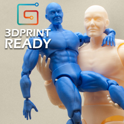 3d poseable model online