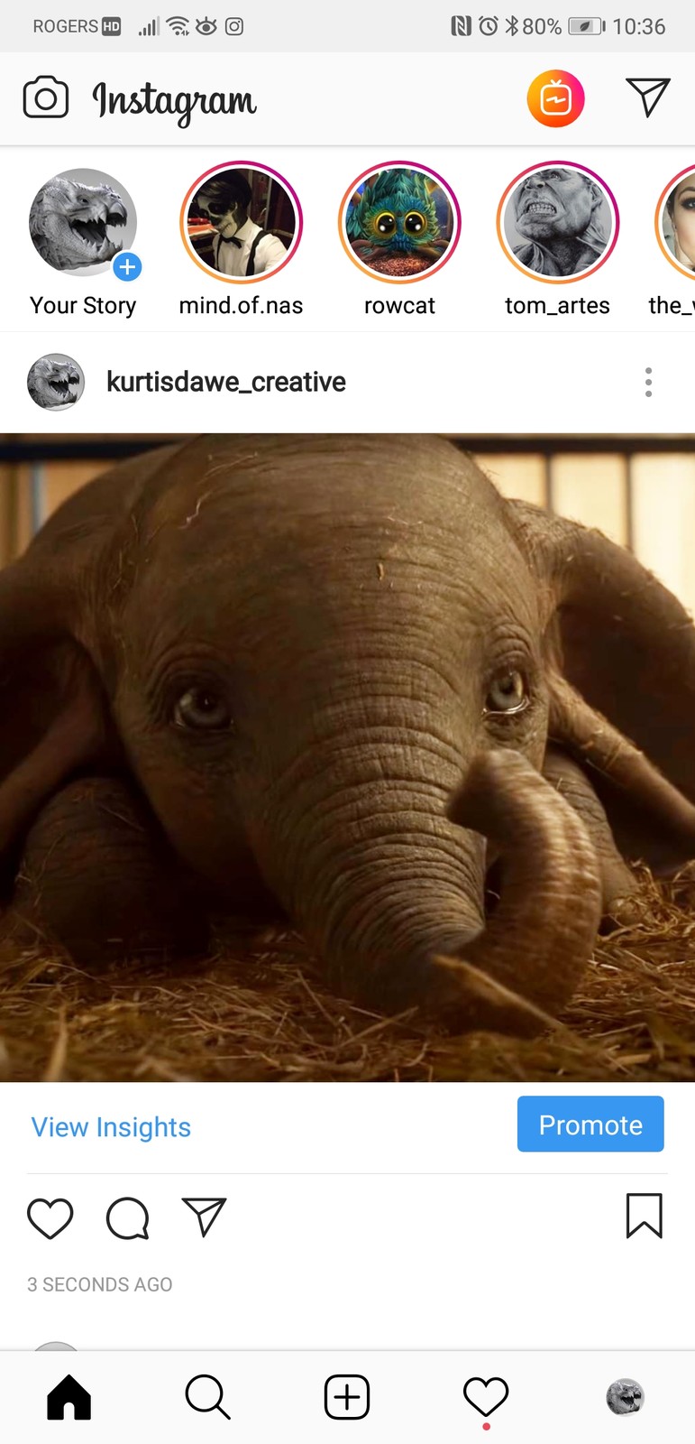 DUMBO Character Model