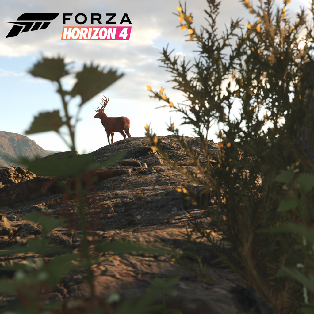 Forza Horizon 4 - Environment Art