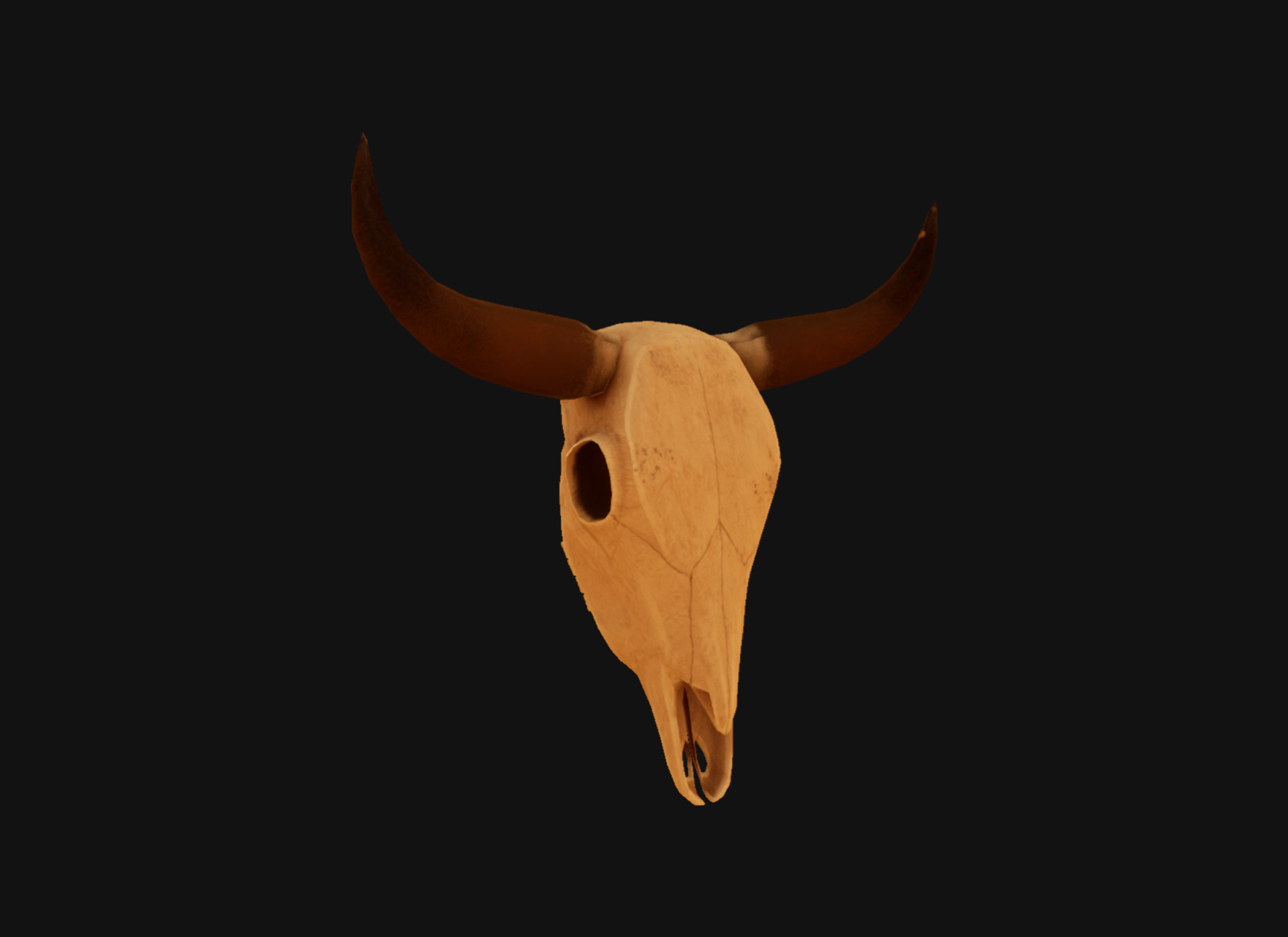 ArtStation - Cattle Skull