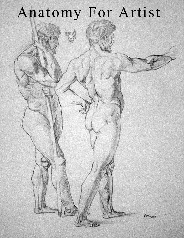 masters of anatomy artist masters of anatomy artist