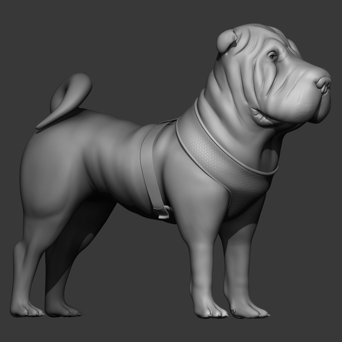 ArtStation - Shar-pei dog