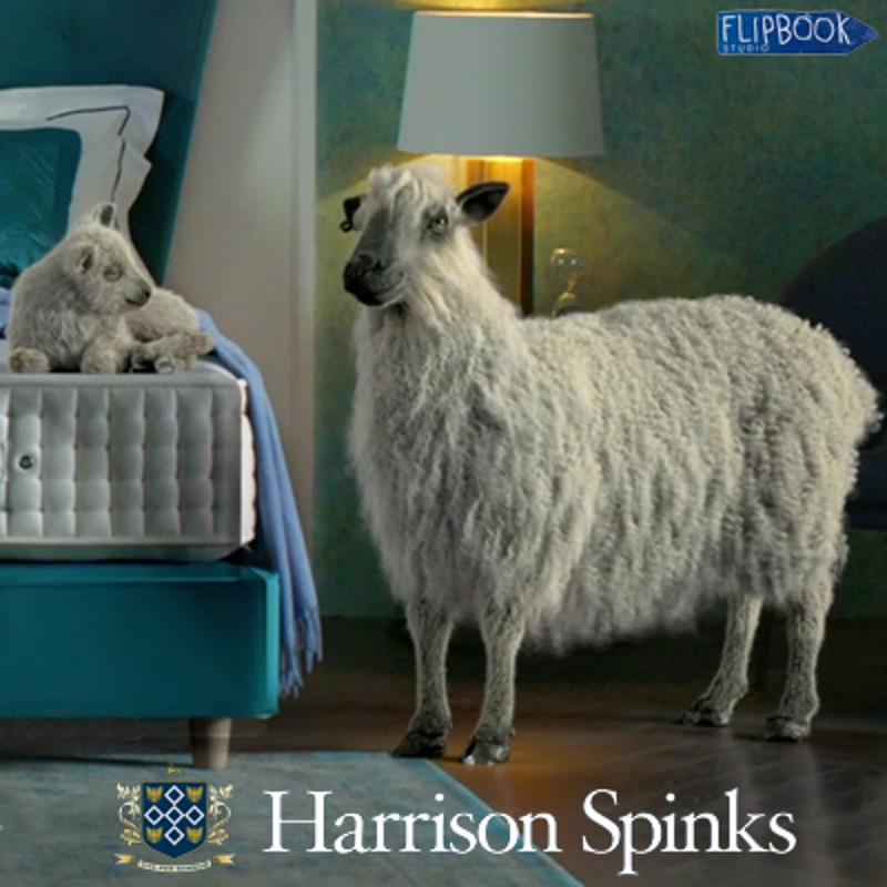 Harrison Spinks - TV commercial - Groom