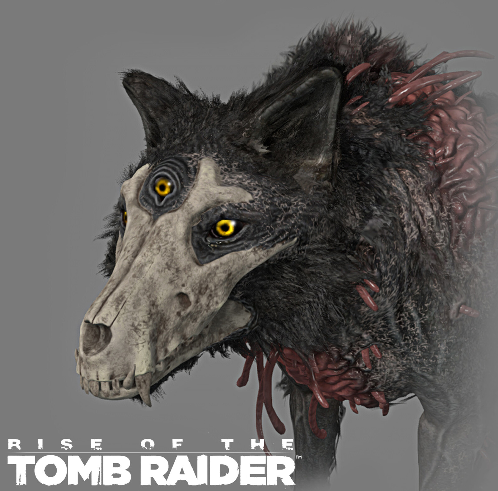 ArtStation - Rise of The Tomb Raider, Shadow Runner Costume