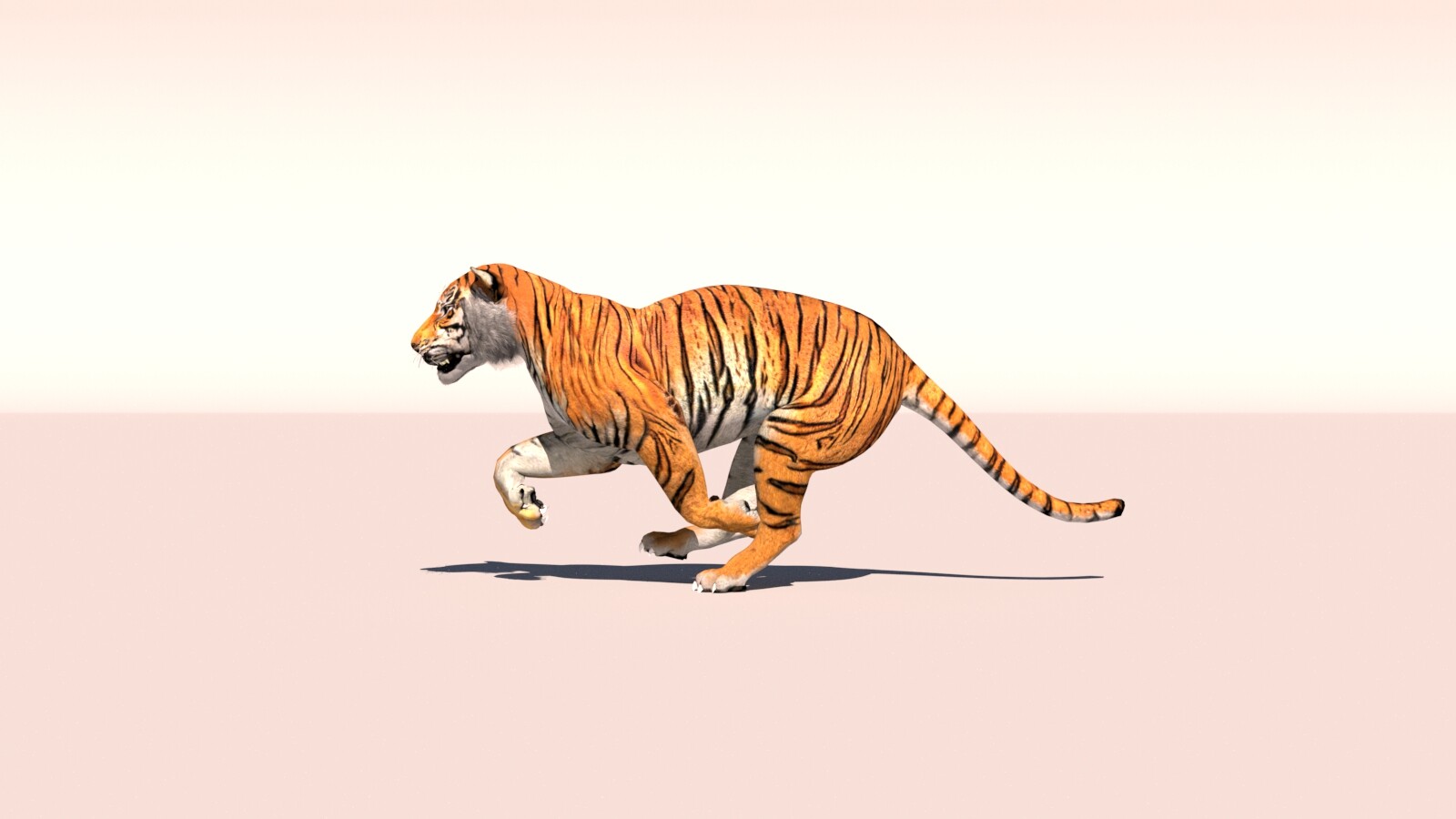 ArtStation - Tiger Run cycle (2019)
