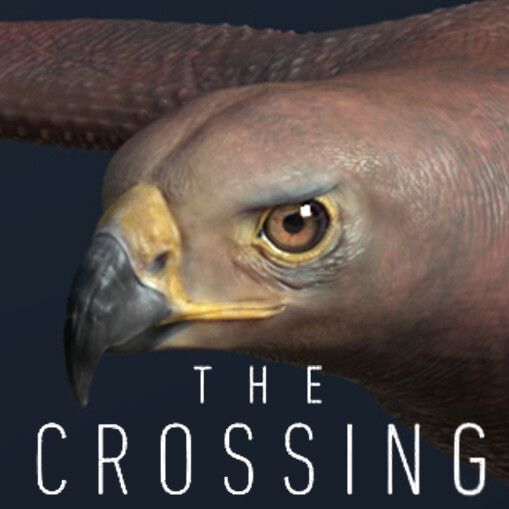 The Crossing - Red Tail Eagle