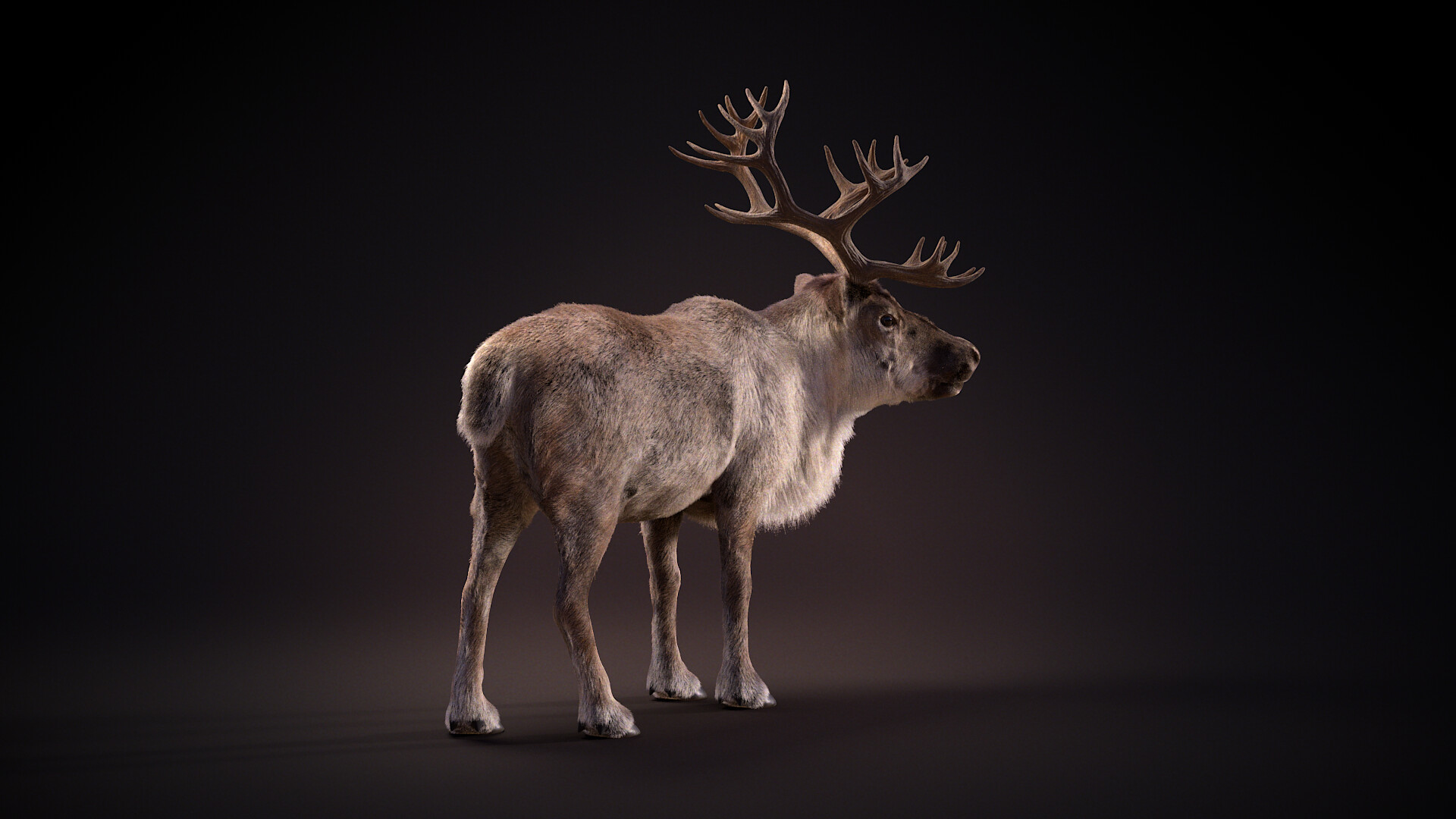 ArtStation - REINDEER